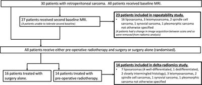 Radiomic Features From Diffusion-Weighted MRI of Retroperitoneal Soft-Tissue Sarcomas Are Repeatable and Exhibit Change After Radiotherapy